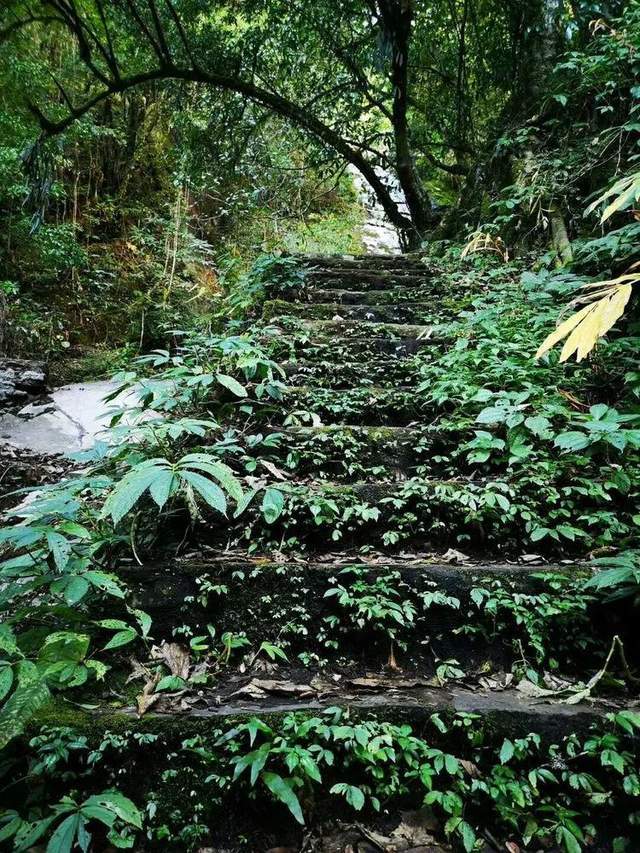 探秘高黎貢山下的花園盆地界頭體驗詩意田園棲居之樂