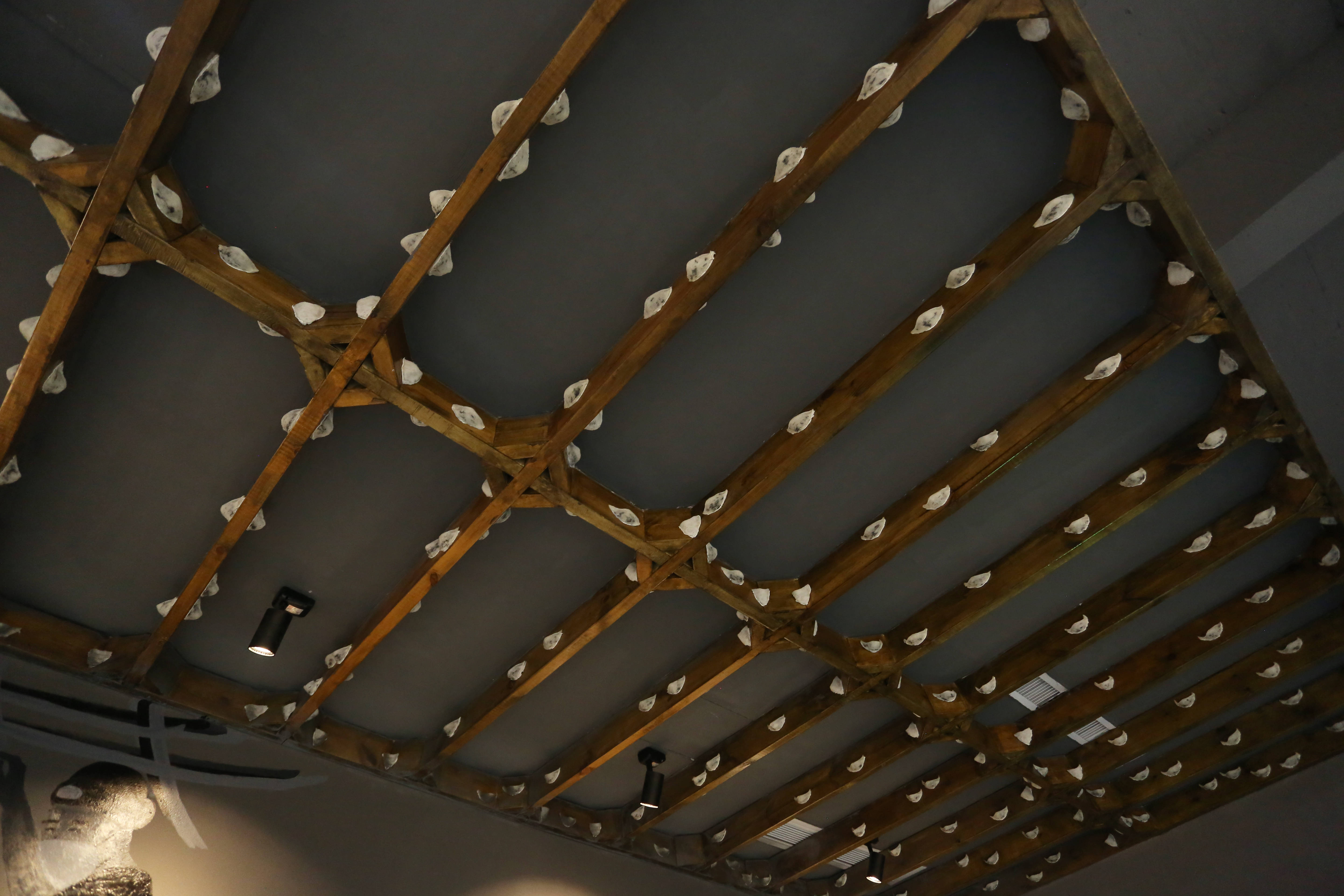 一樽皇燕带你走进金丝燕屋燕的故事 | 燕窝的故事_手机搜狐网