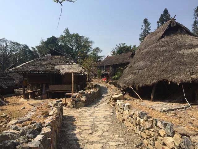 原创云南最后一个原始部落村内到处高挂牛头茅房成最独特风景