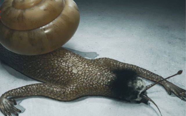 僵尸蜗牛有毒图片