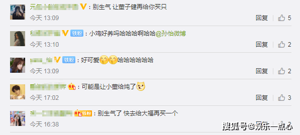 孙怡家鸡被猫叼走了！