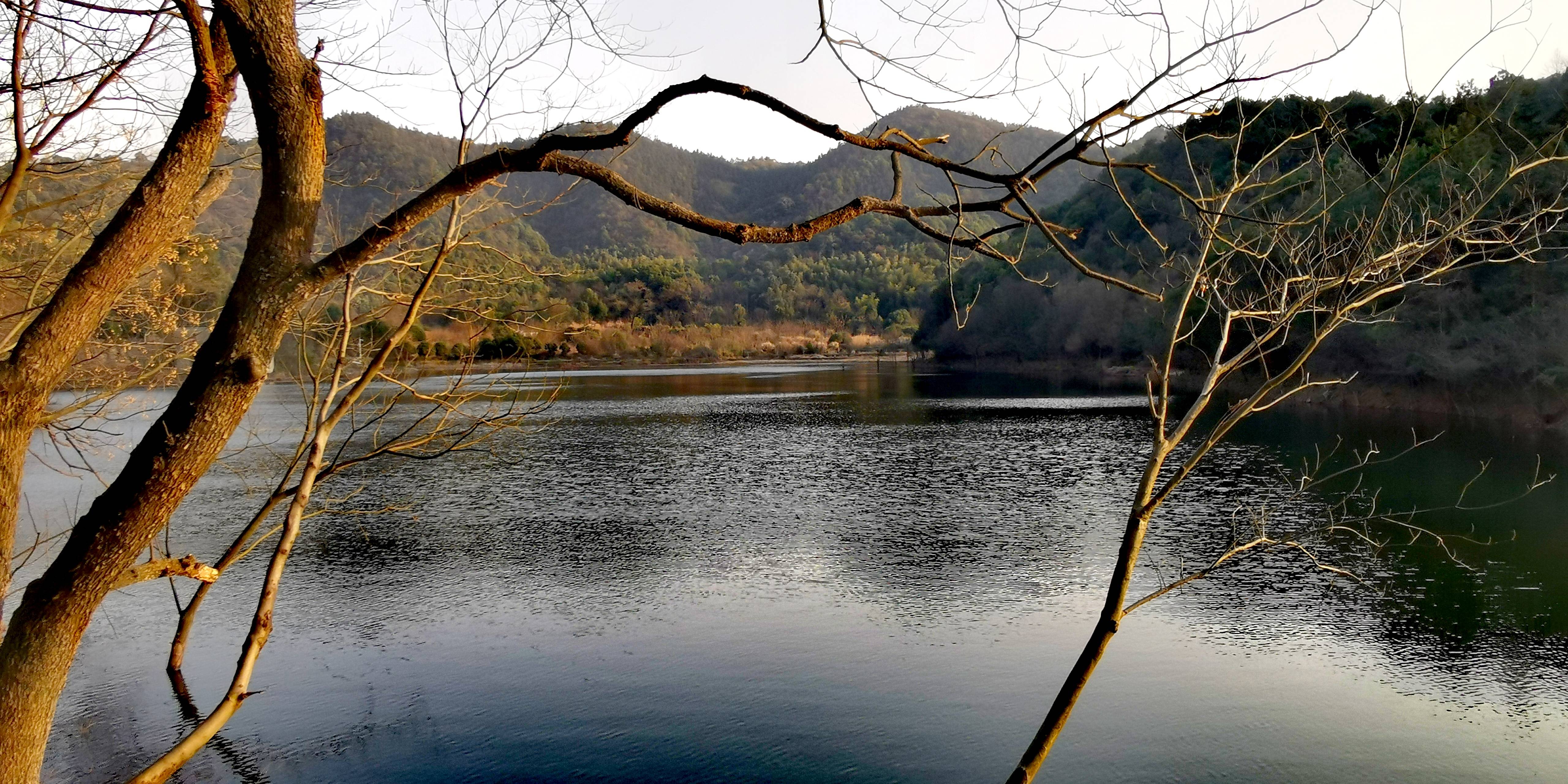 长沙梅溪湖区域新增一处森林公园:象鼻窝森林公园