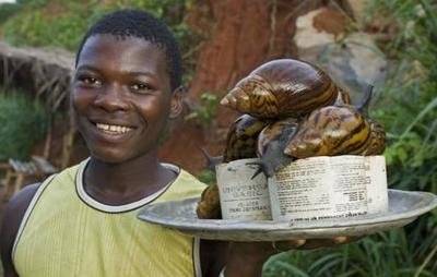 “巨型蜗牛”3只7年育17000个，中国吃货不敢吃，却是非洲人最爱