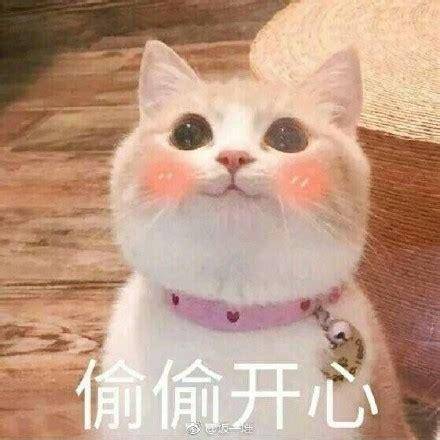 79c8c926afa44e8c8fa2a183adf2d900.jpeg