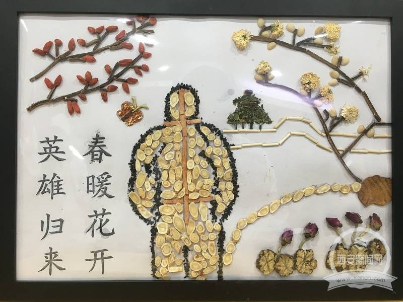 护士有巧手中药入画来