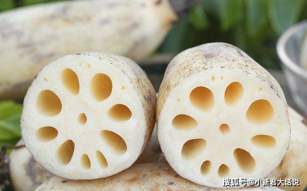 莲藕七孔与九孔区别 3f29ee20c6da46ae927f5b89fa79d134.jpeg