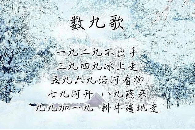 曲江池湖面一番“冰景”，邀你来看~