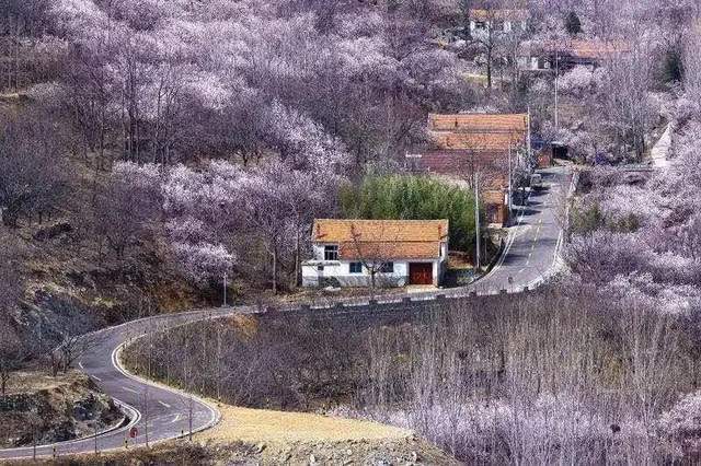 北山村/大旺村/庄沟村09.