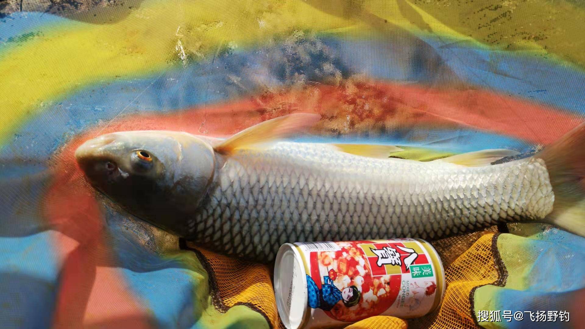 1aba5e39fd38489f96f68459cff67d2a.jpeg
