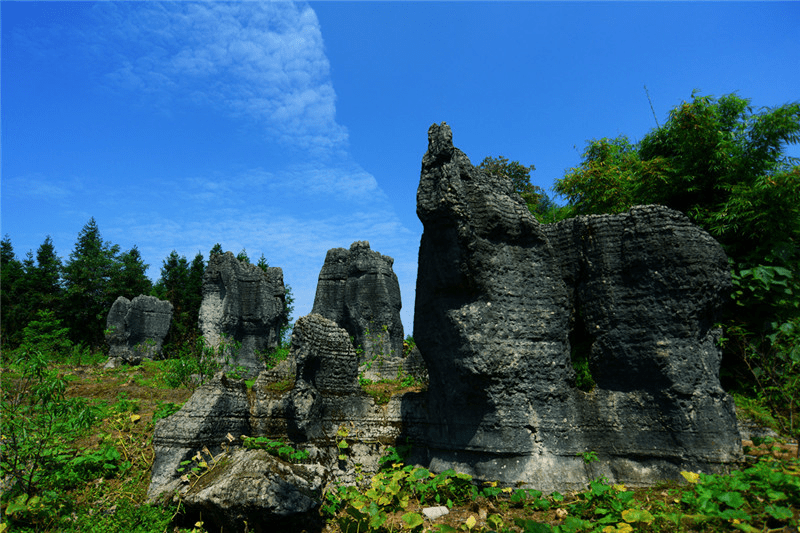 四川兴文僰人巨石阵景区成功晋级国家4a级景区_旅游