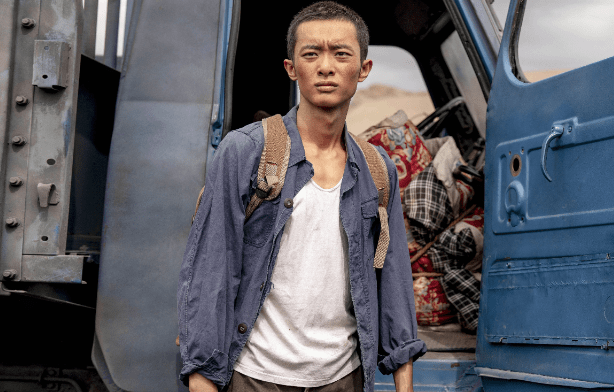 山海情白麦苗成了女企业家带领村民致富与马得宝终成眷属