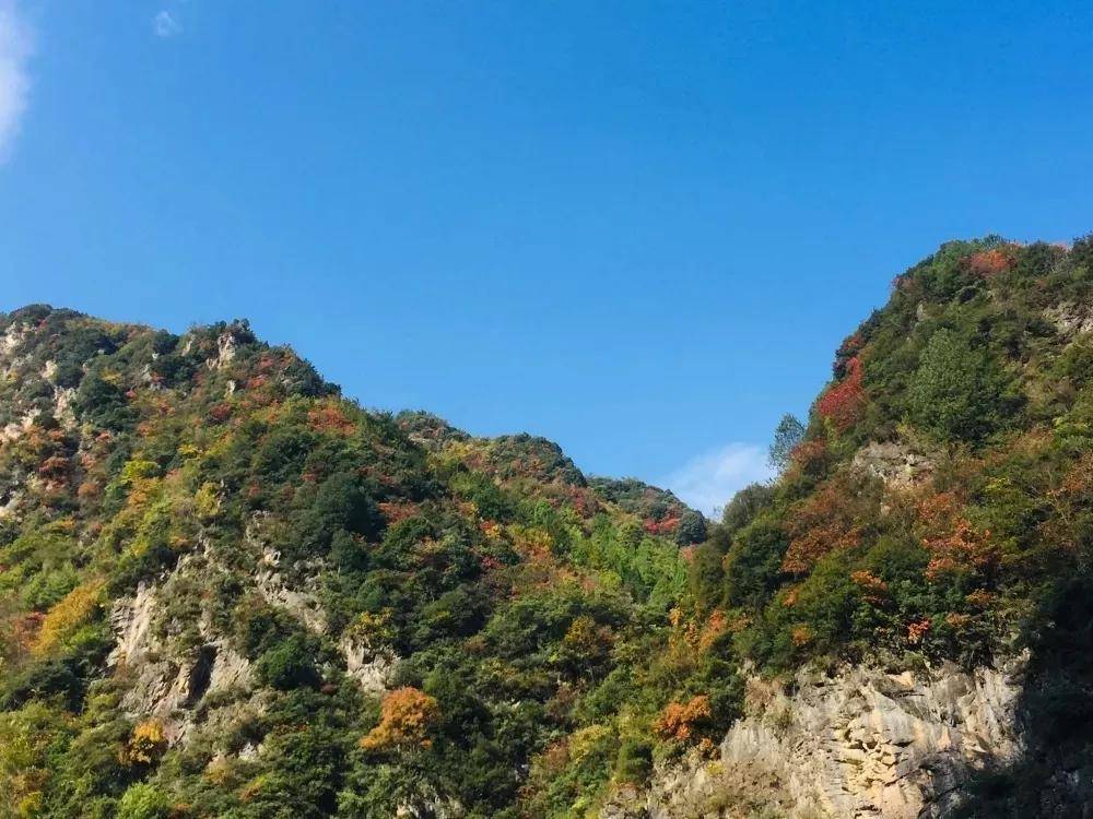 【创建天府旅游名县】来朝天旅游我们一起感受它的浪漫