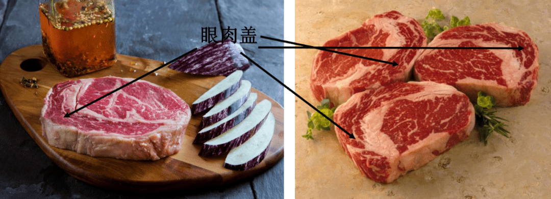 >月牙形状肌肉就是眼肉盖