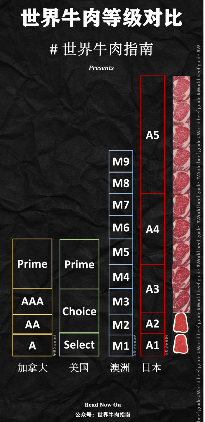 美国牛排等级图片