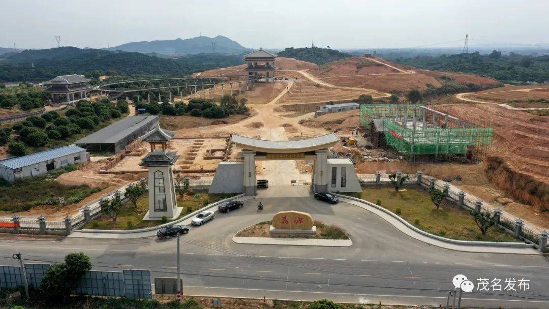 高州根子镇,被誉为"中国荔枝第一乡".