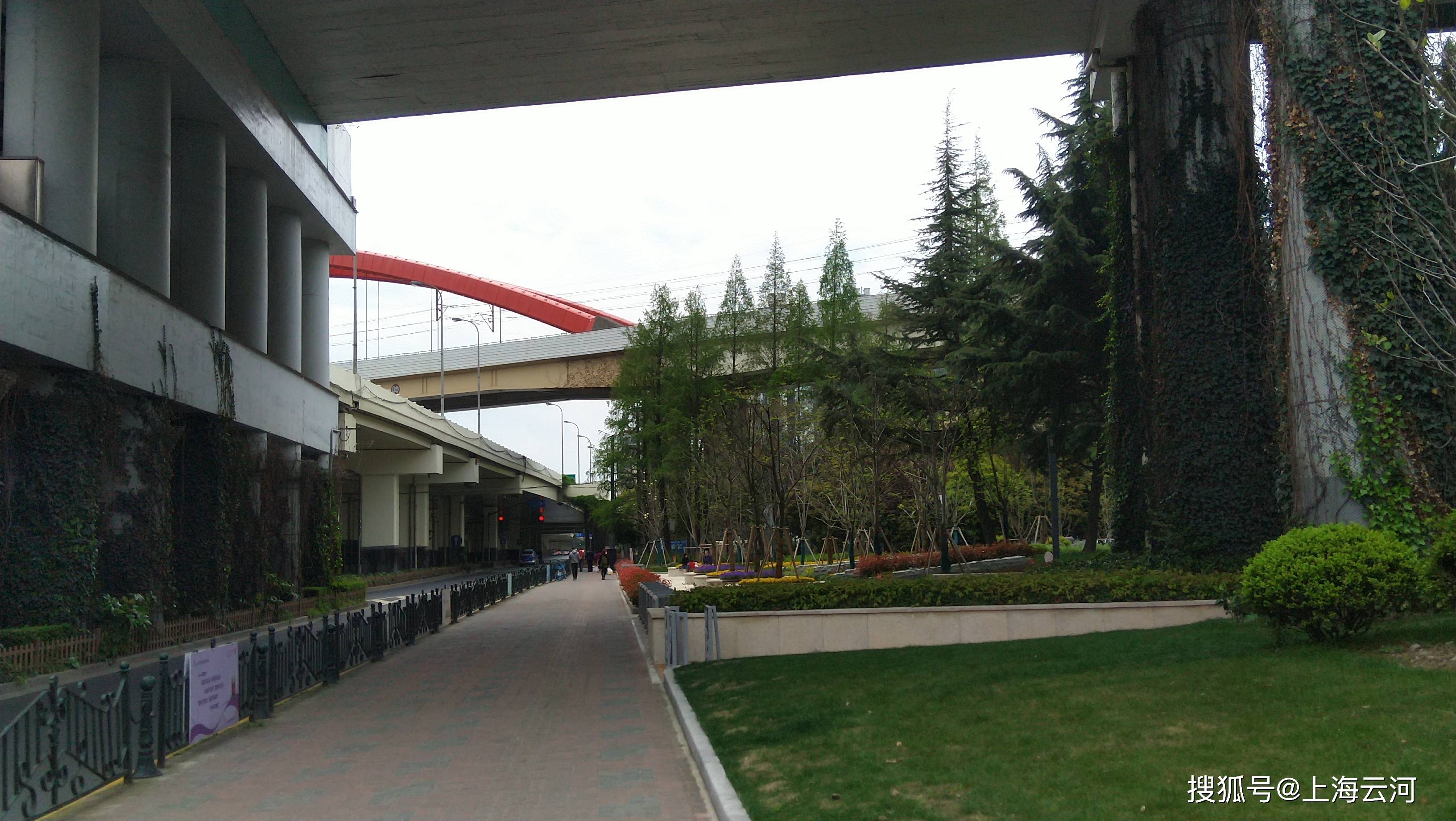 上海漕溪北路,街头的春天景色(7)