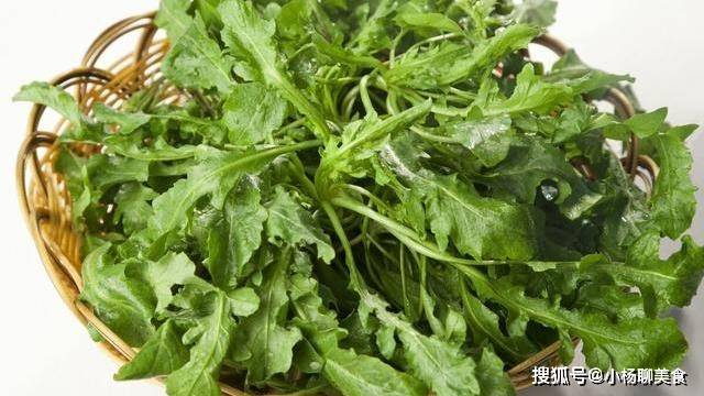 什么时候开始种菜最好 0b67cc56ba5544a8a51c1eaaa6cd6ba8.jpeg