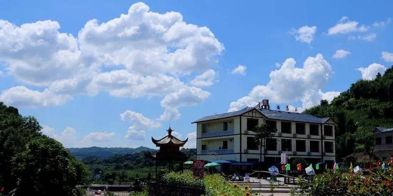 【创建天府旅游名县】开年来感受四川兴文莲花的春天