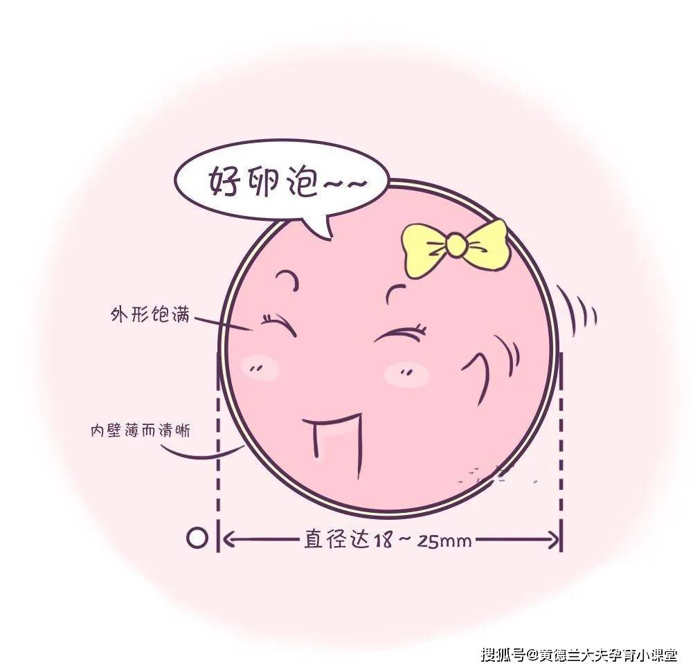 6054d30d4d124bafb2dd5e2ee61c6747.jpeg