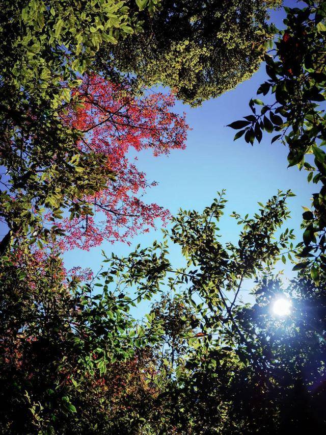 徒步保山高黎贡：在自然中追寻美与人文的足迹