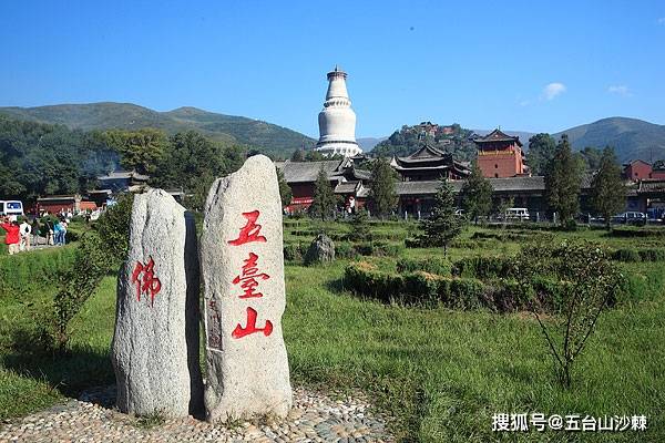 沙棘护佑着五台山，五台山护佑着沙棘