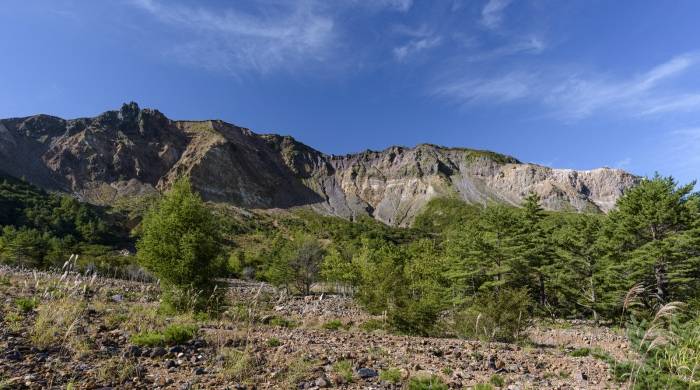 方太去年开启轻厨新赛道后,老板今年推出大厨新品牌抢食小家电-家电圈官网