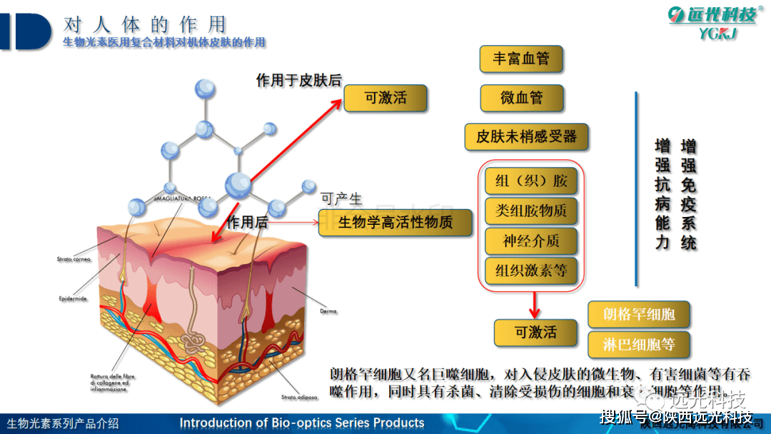 该抗病毒口罩采用生物复合医用材料,活性多肽,具备在干燥条件下,吸附