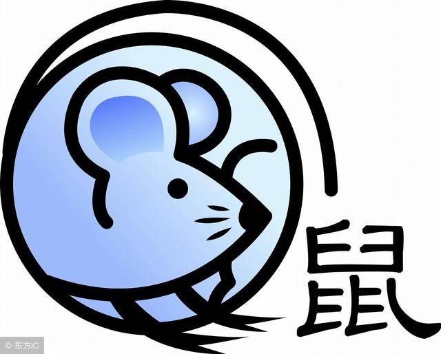 29年属什么生肖什么命