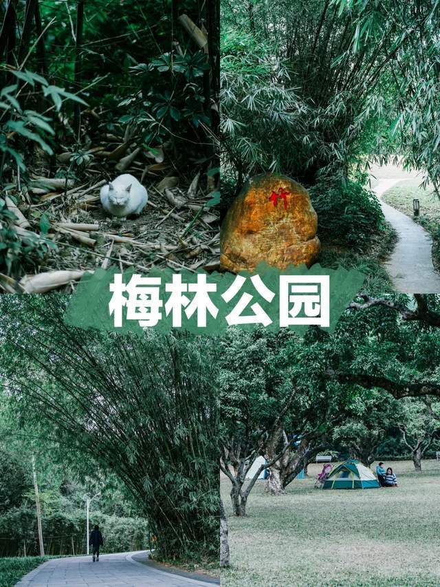人均梅林_fgo梅林(2)