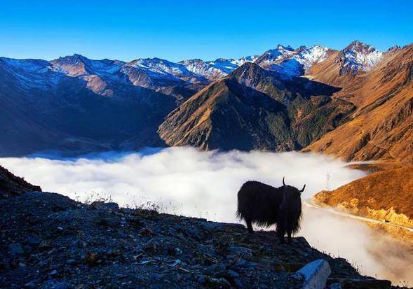 这座山被誉为“东方阿尔卑斯”，冰与雪的王国，摄影登山者的天堂