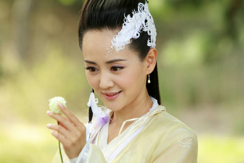 《杨门虎将》是2004年由华新影视和北京天中文化联手制作的33集古装