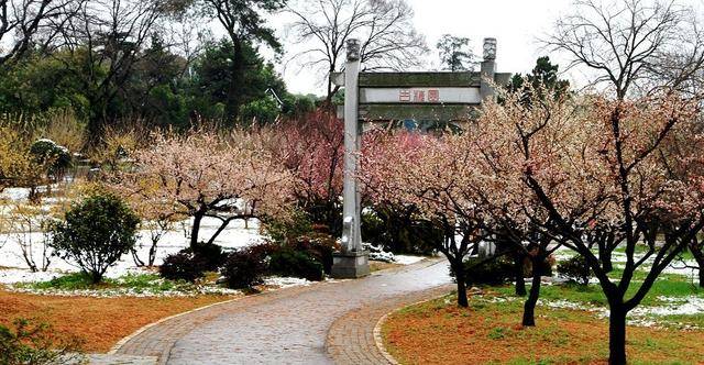 梅园赏花路线来啦，带你看遍梅园十景