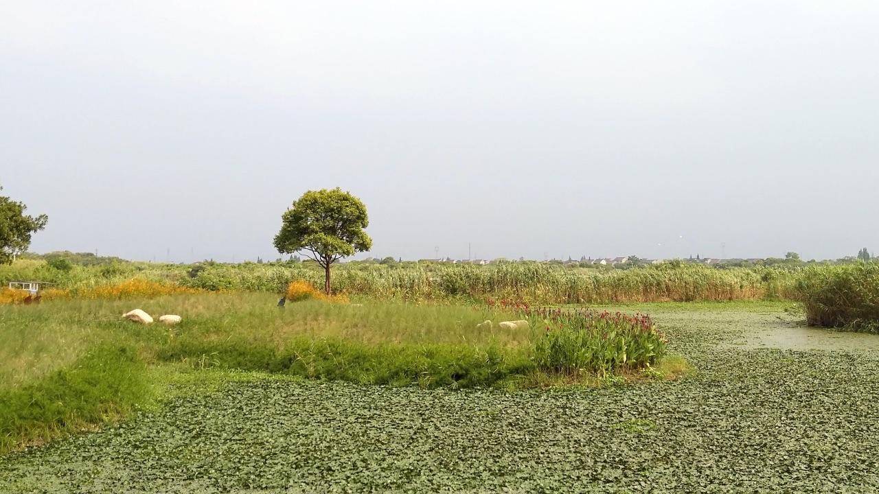 浙江省|桃花岛 （浙江省舟山市普陀区岛屿）