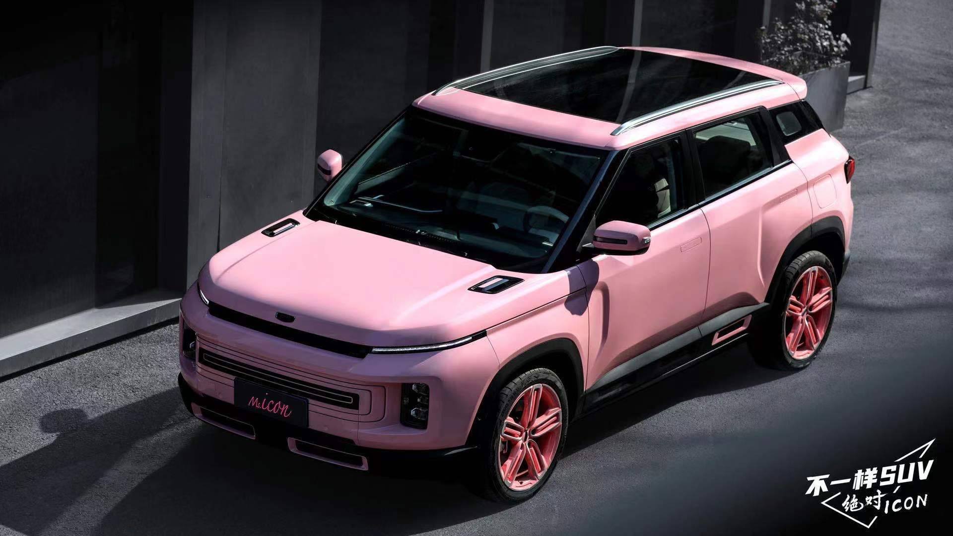 icon的小粉车闪亮登场_瞬间