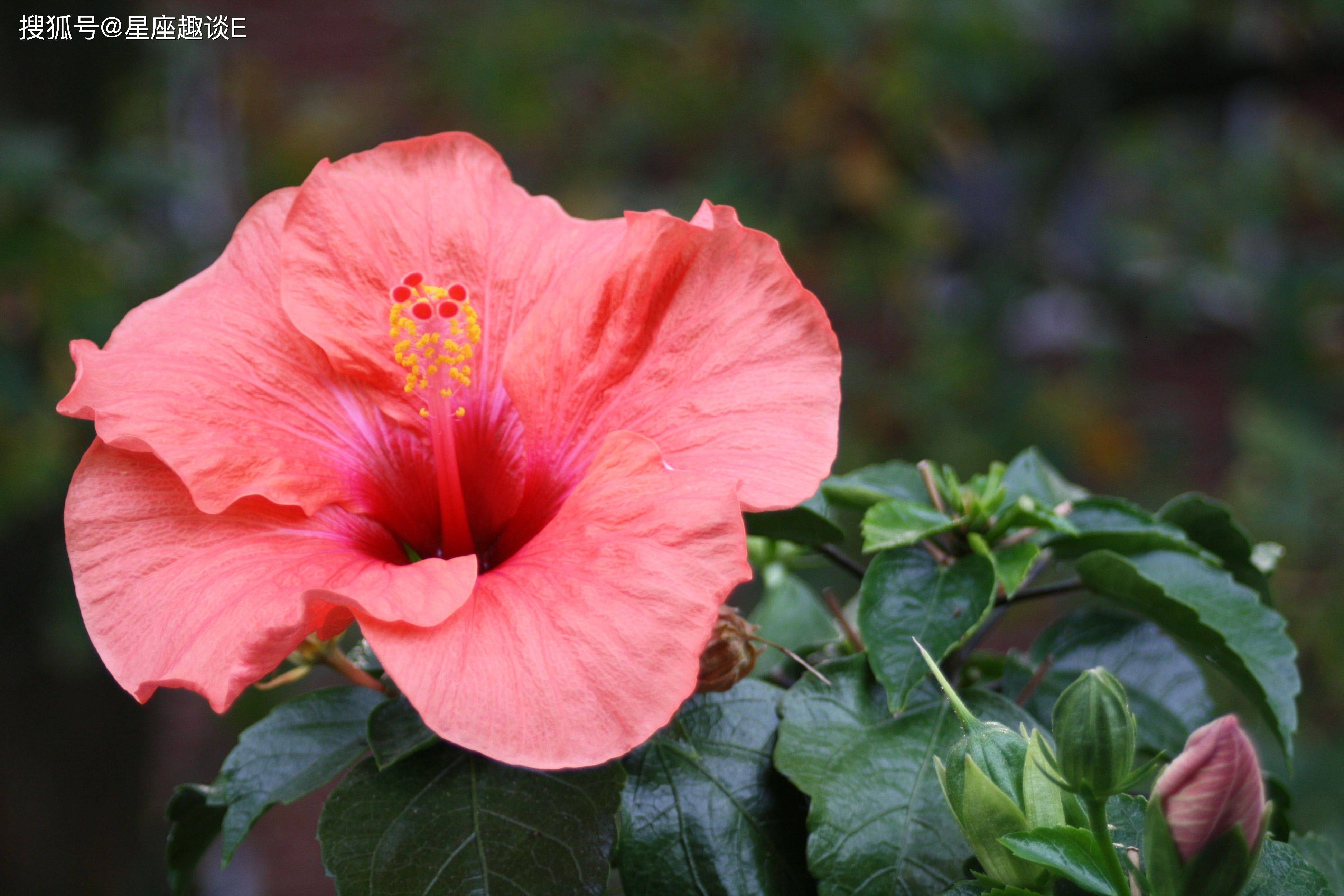 1月30日爱情运势 心心相印 真爱无敌的四大星座 单身