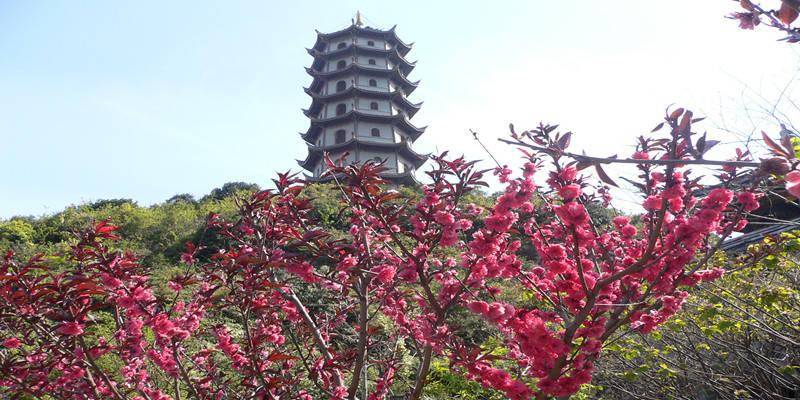 浙江省|桃花岛 （浙江省舟山市普陀区岛屿）