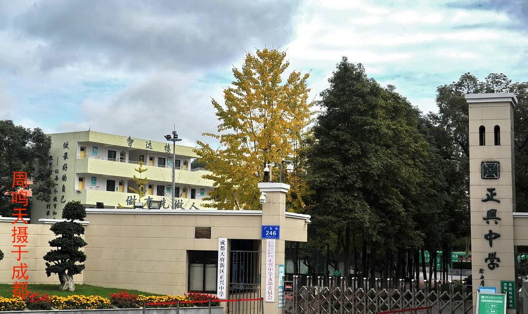 成都天府新区建筑 周鸣天_码头_四川省_正兴镇