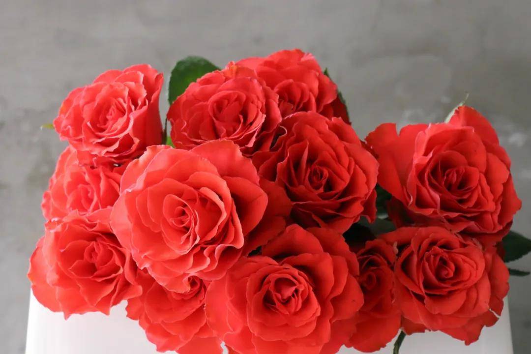 高盛(图源逸禾)