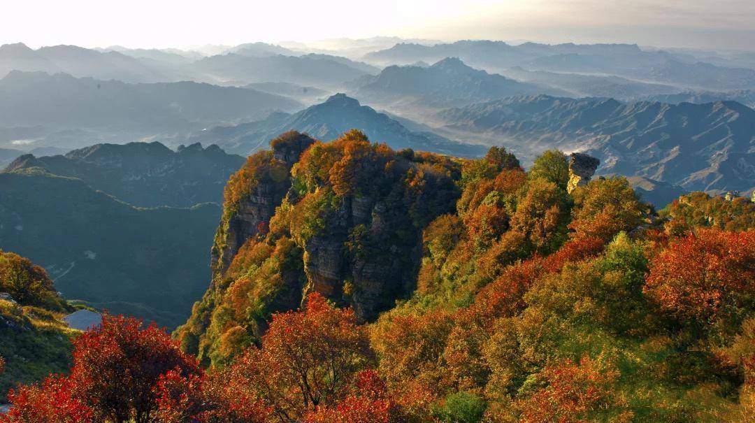 北京最低调的景区，山上种着成片濒危古树林，一到秋天就美绝了