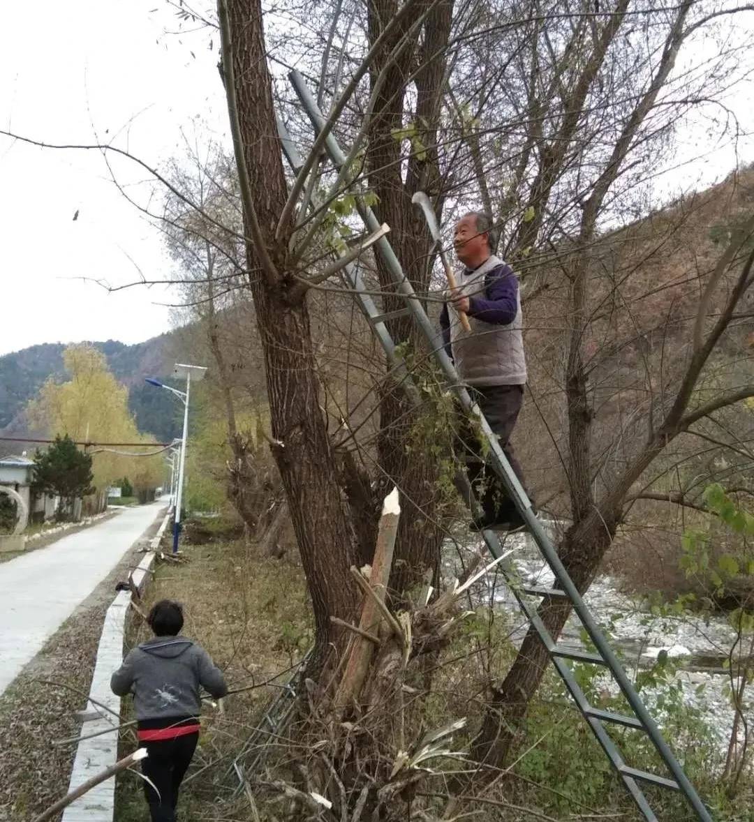 来源| 凤县扶贫办编辑| 马蔻校对| 田俊雅
