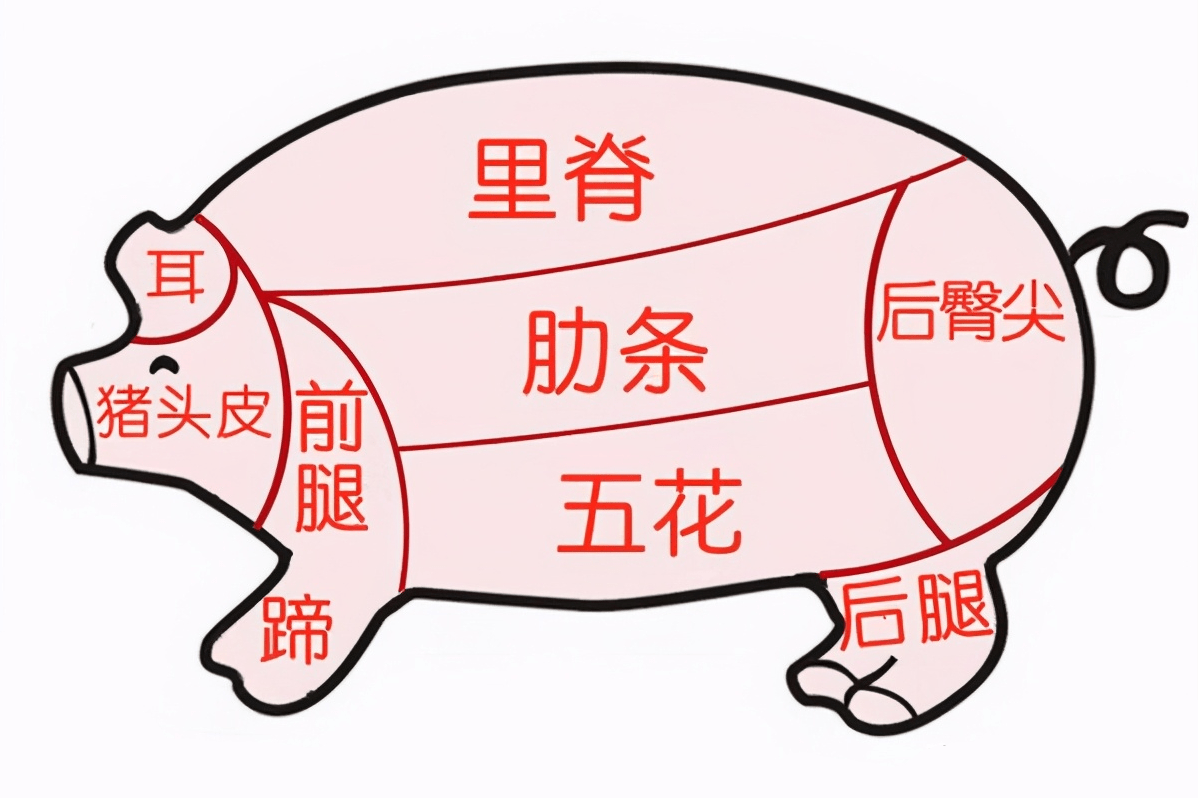 买猪肉时 懂行人专挑这4个部位 肉质好口感佳 肉贩子都佩服你五花肉热点新闻 今日关注