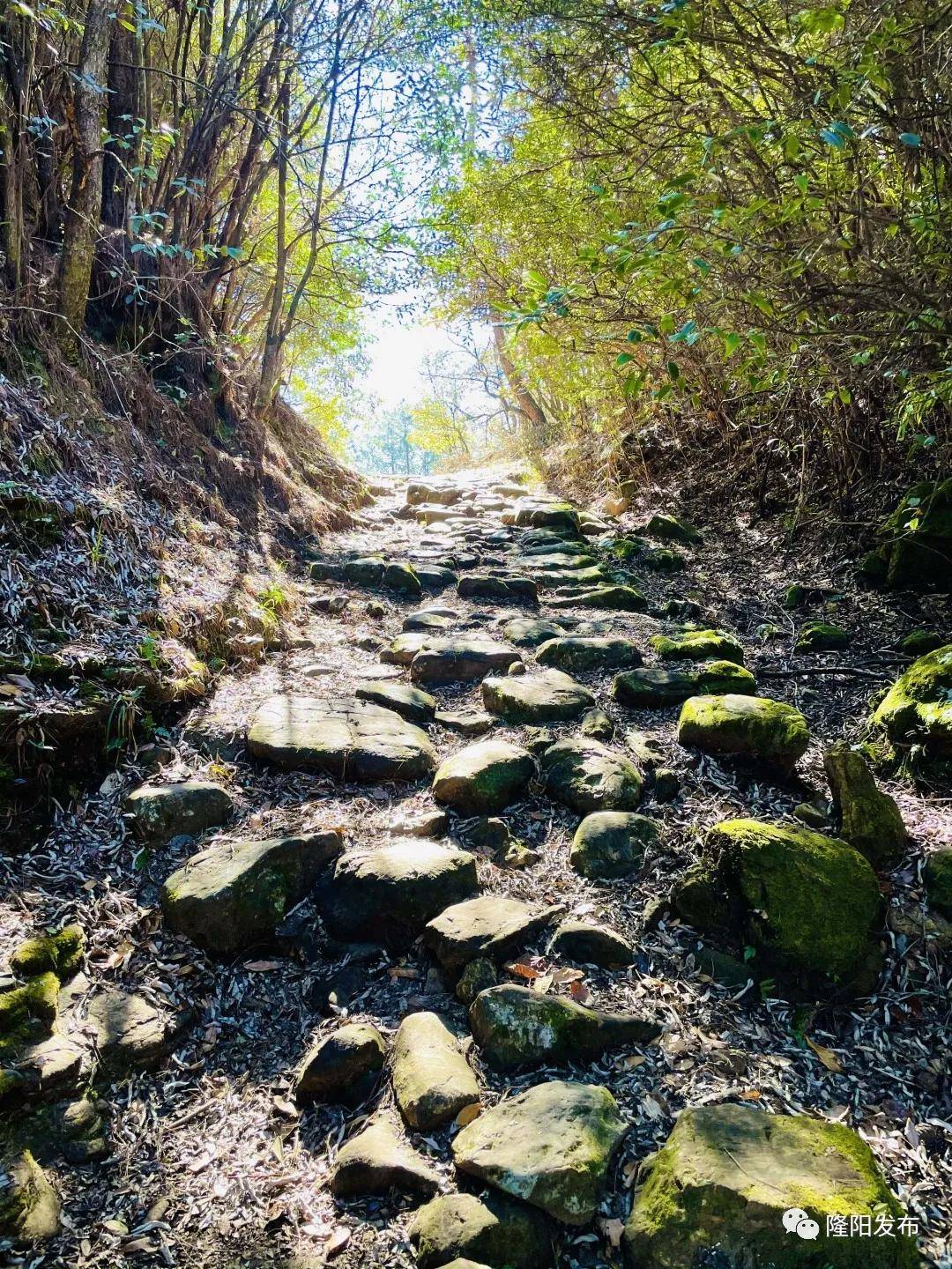 保山隆阳文旅：深挖古道文化家底 打造文旅融合新环线