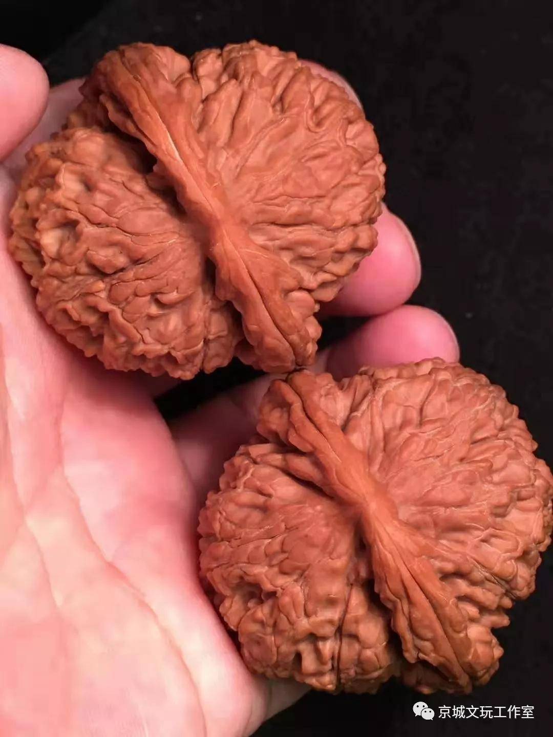 什么样的文玩核桃才能叫极品，看行家怎么说_搜狐网