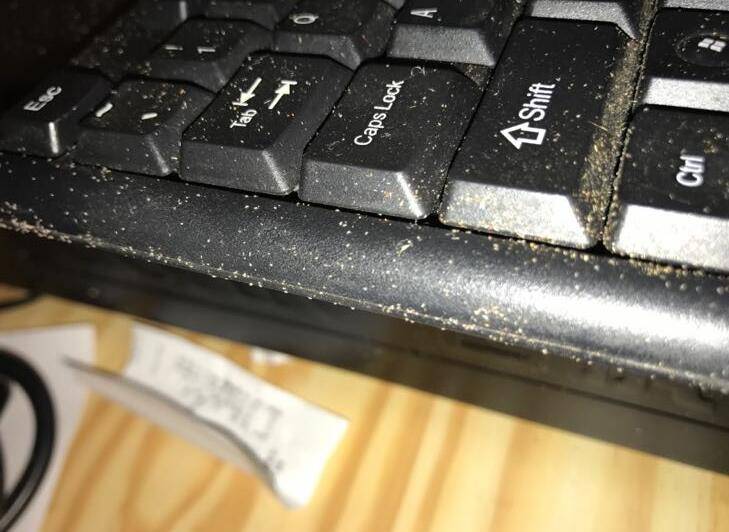 家具上尘虱是怎么样产生的,尘虱怎么彻底地消灭_手机搜狐网