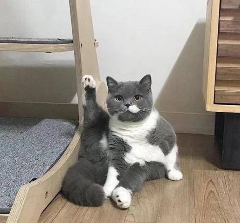9a12017685c8419692af54898254db1a.jpeg