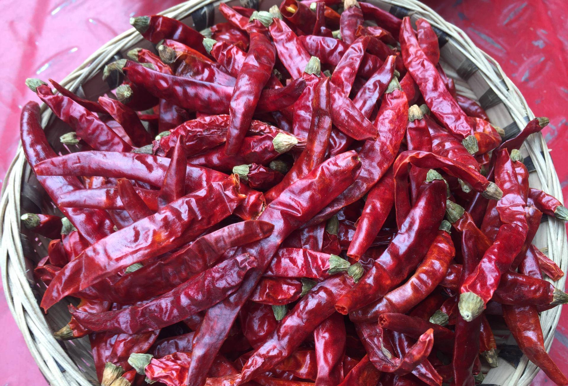 印度把"断魂椒"做成手雷,配备给特种部队,被击中辣到怀疑人生