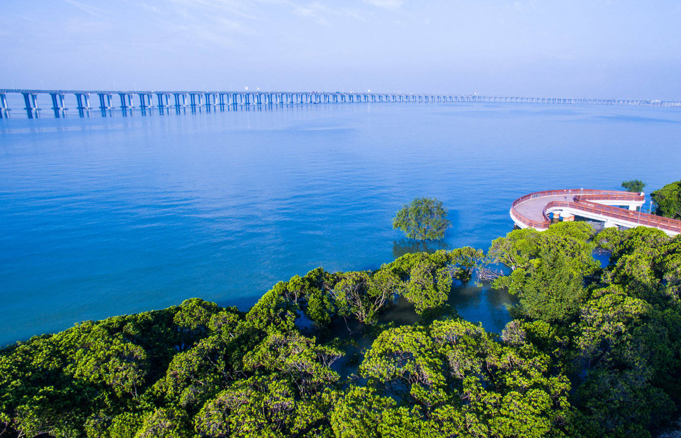 深圳红树林海滨公园图片