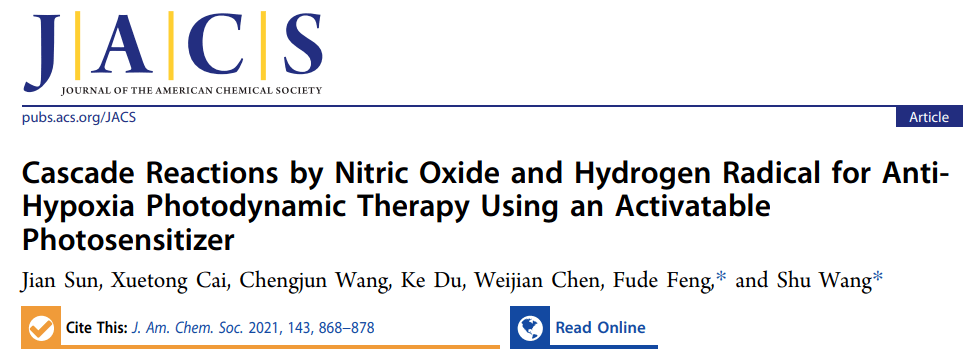 南大冯福德团队在一氧化氮和氢自由基级联的光动力治疗研究获进展 反应