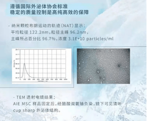 幹細胞外泌體基因抗衰讓逆生長成為可能