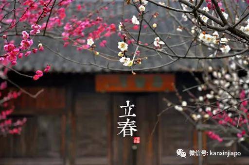 新加坡2021人口_新加坡人口分布图(2)